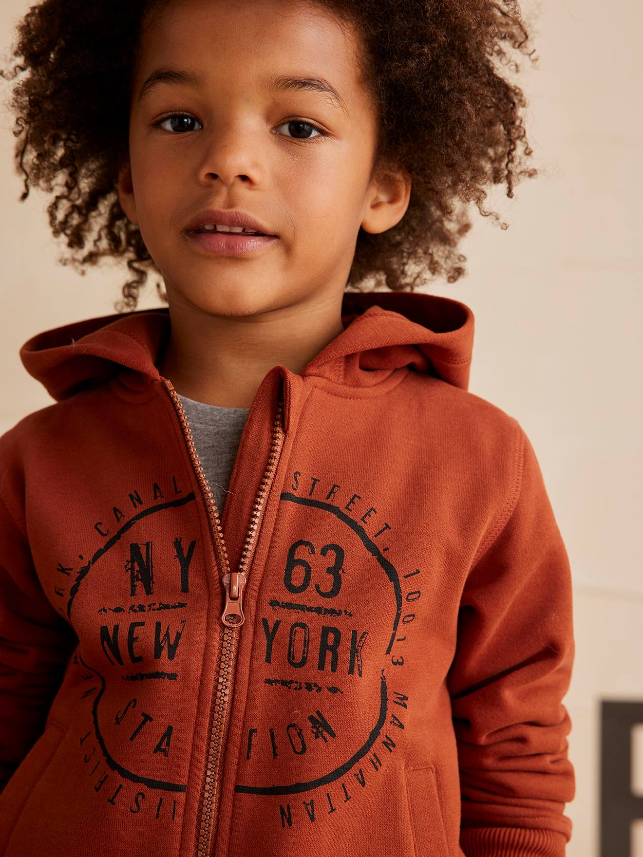 https://kids-avenue.com.ua/pages/gallery/6543/sweat-zippe-a-capuche-basics-garcon-motif-graphique (10).jpg